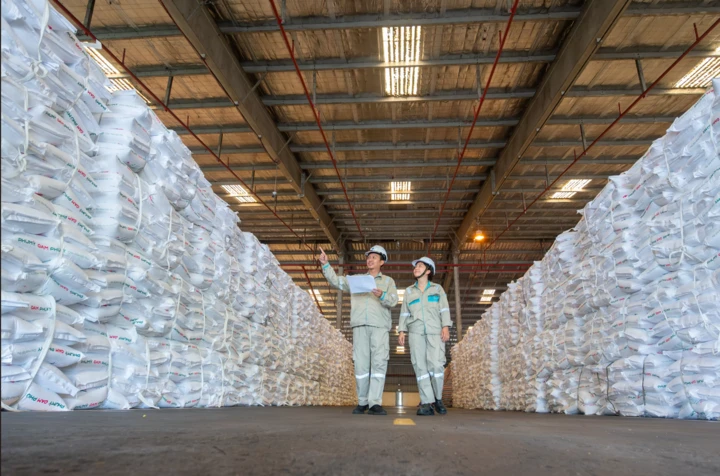 PVFCCo-Phú Mỹ: Khi truyền thống hội tụ thành chuẩn mực phát triển bền vững PVFCCo-Phú Mỹ: Khi truyền thống hội tụ thành chuẩn mực phát triển bền vững