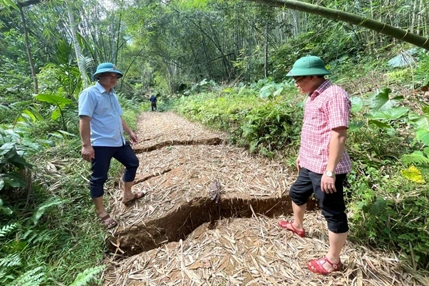Quả đồi tại Thanh Hóa nứt toác hơn 1km, 180 người được sơ tán Quả đồi tại Thanh Hóa nứt toác hơn 1km, 180 người được sơ tán