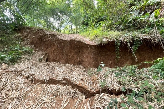 Quả đồi tại Thanh Hóa nứt toác hơn 1km, 180 người được sơ tán Quả đồi tại Thanh Hóa nứt toác hơn 1km, 180 người được sơ tán
