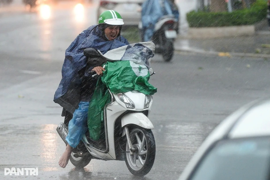 Quảng Ninh, Hải Phòng mưa lớn, Biển Đông có thể sắp đón bão Quảng Ninh, Hải Phòng mưa lớn, Biển Đông có thể sắp đón bão