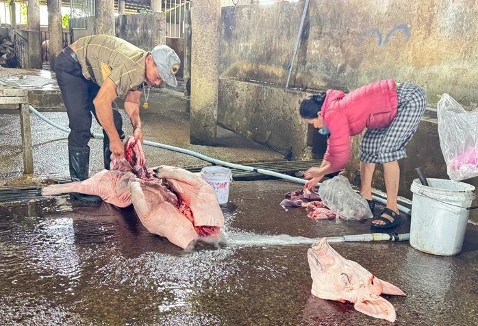 Quảng Trị xử phạt lò mổ gần 250 triệu đồng vì xả thải vượt chuẩn Quảng Trị xử phạt lò mổ gần 250 triệu đồng vì xả thải vượt chuẩn