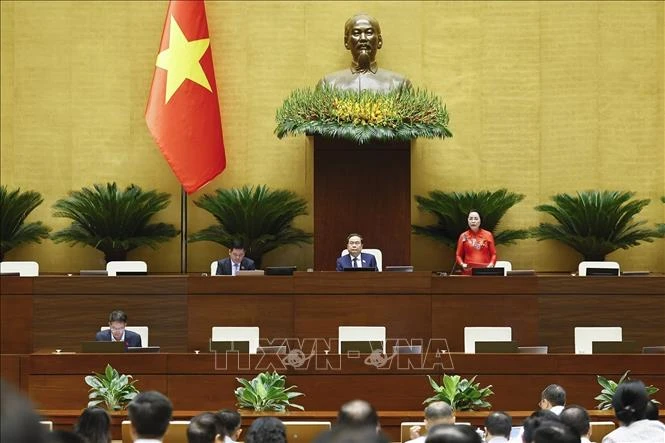 Quốc hội nghe trình bày Tờ trình, báo cáo thẩm tra về các dự án luật Quốc hội nghe trình bày Tờ trình, báo cáo thẩm tra về các dự án luật