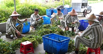 Quy định phạm nhân mới 2026: Gọi video về Nhà 1 lần mỗi tháng không quá 10 phút
