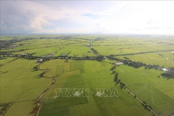 Quy định về điều kiện năng lực chuyên môn đối với tổ chức tư vấn lập quy hoạch