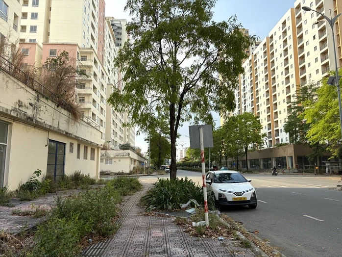 Rà soát quỹ nhà tái định cư sau chỉ đạo của Bí thư Thành ủy TPHCM Rà soát quỹ nhà tái định cư sau chỉ đạo của Bí thư Thành ủy TPHCM