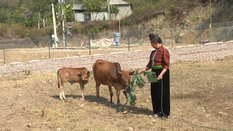 Rời vùng sạt lở, sinh kế có theo người dân đến nơi ở mới? Rời vùng sạt lở, sinh kế có theo người dân đến nơi ở mới?