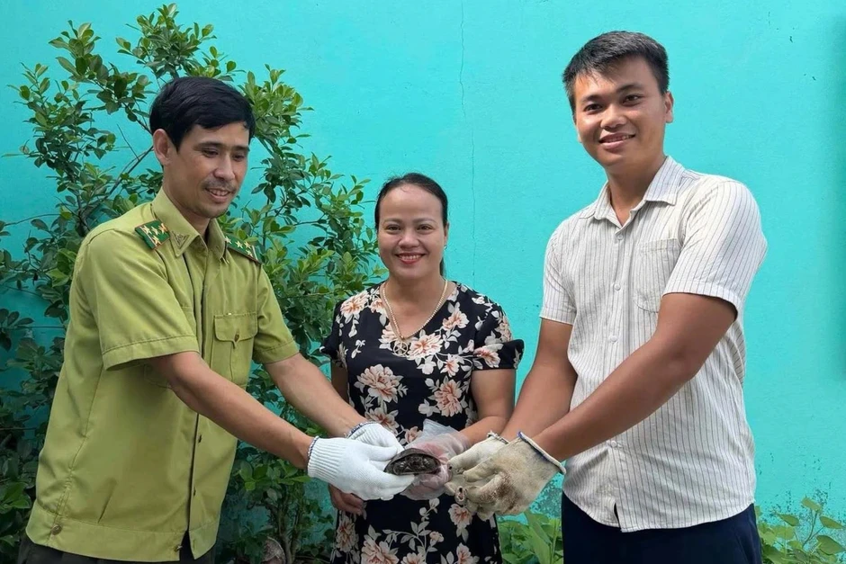 Rùa 4 mắt quý hiếm lạc vào sân nhà dân Rùa 4 mắt quý hiếm lạc vào sân nhà dân