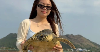Rùa quý hiếm liên tục mắc “lưới ma”