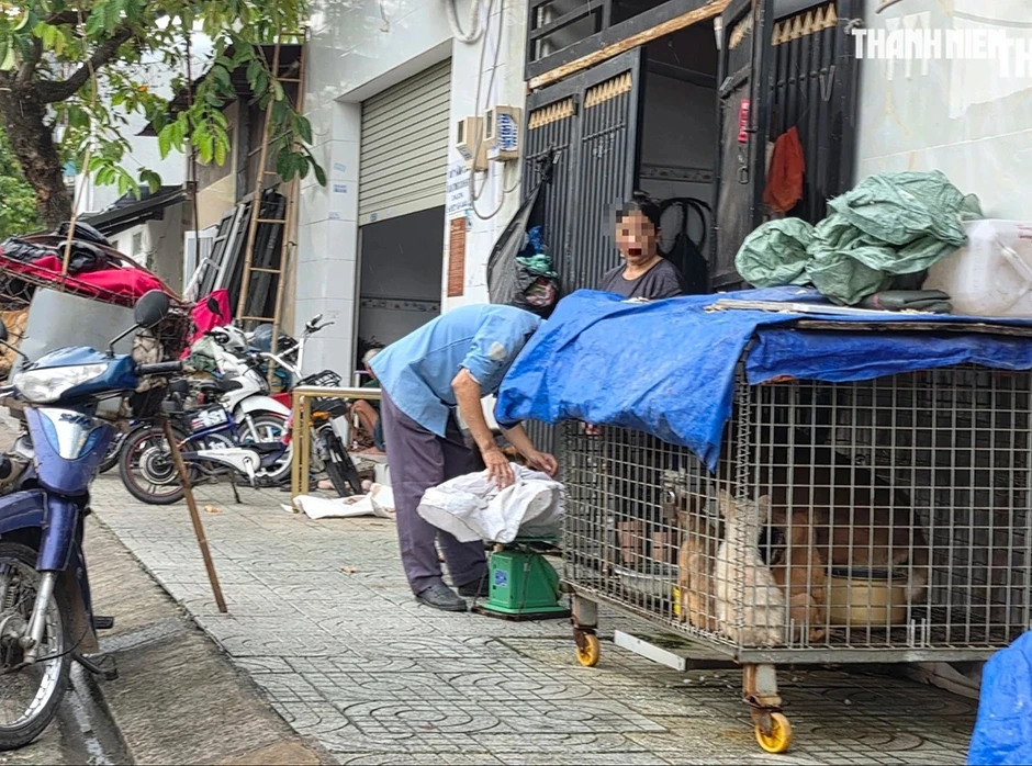 Rùng mình lò giết mổ lậu chó, mèo: Lỗ hổng quản lý ở đâu? Rùng mình lò giết mổ lậu chó, mèo: Lỗ hổng quản lý ở đâu?