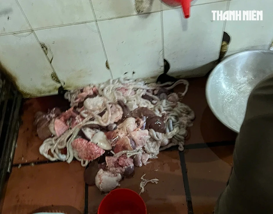 Rùng mình lò giết mổ lậu chó, mèo Rùng mình lò giết mổ lậu chó, mèo