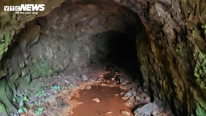 Rừng phòng hộ bị 'xẻ thịt' và những cửa lò bí ẩn tại Quảng Ninh Rừng phòng hộ bị 'xẻ thịt' và những cửa lò bí ẩn tại Quảng Ninh