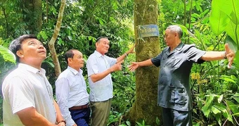 'Rừng thiêng' giữa đại ngàn