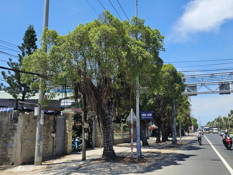 Sắp cưỡng chế, thu hồi khu đất công mua bán giấy tay giờ thành quán cà phê Sắp cưỡng chế, thu hồi khu đất công mua bán giấy tay giờ thành quán cà phê
