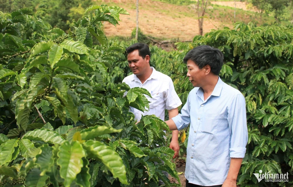 Sắp xếp thôn ở vùng cao Quảng Ngãi: Khó về nhân sự đạt chuẩn Sắp xếp thôn ở vùng cao Quảng Ngãi: Khó về nhân sự đạt chuẩn