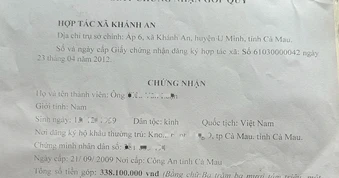 Sắp xử vụ Việt kiều Mỹ kiện đòi hơn 3,4 tỉ đồng tiền lợi nhuận hợp tác xã