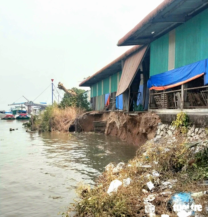 Sạt lở bờ sông Hậu dài 50m, ăn sâu vào bờ 8m, di dời 660 tấn gạo