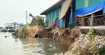 Sạt lở bờ sông Hậu dài 50m, ăn sâu vào bờ 8m, di dời 660 tấn gạo