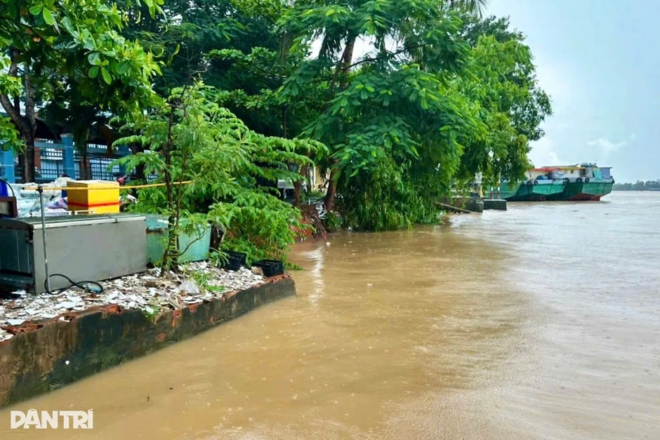 Sạt lở bờ sông nguy cơ đe dọa bến đò, trường học ở Cần Thơ Sạt lở bờ sông nguy cơ đe dọa bến đò, trường học ở Cần Thơ