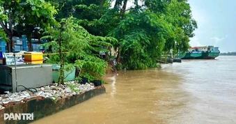 Sạt lở bờ sông nguy cơ đe dọa bến đò, trường học ở Cần Thơ