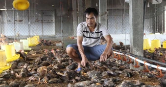 Sau gần một năm bị thiên tai "vùi dập", người dân vẫn mỏi mòn chờ hỗ trợ
