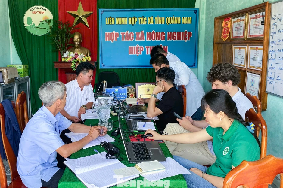 Sau sáp nhập, Đà Nẵng rộng cửa bước vào thị trường tín chỉ carbon toàn cầu Sau sáp nhập, Đà Nẵng rộng cửa bước vào thị trường tín chỉ carbon toàn cầu