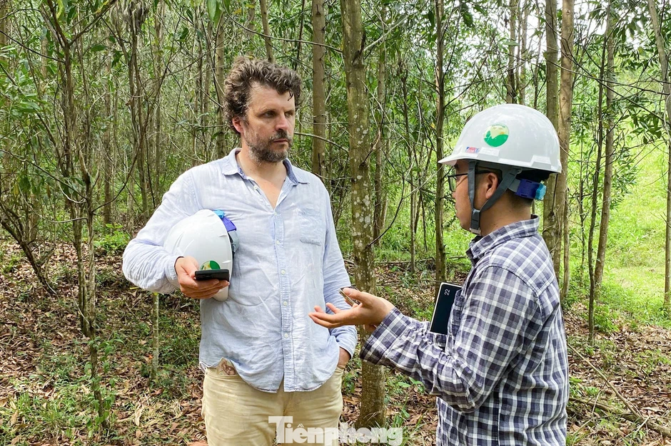 Sau sáp nhập, Đà Nẵng rộng cửa bước vào thị trường tín chỉ carbon toàn cầu Sau sáp nhập, Đà Nẵng rộng cửa bước vào thị trường tín chỉ carbon toàn cầu