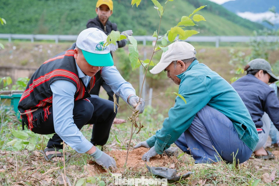Sau sáp nhập, Đà Nẵng rộng cửa bước vào thị trường tín chỉ carbon toàn cầu Sau sáp nhập, Đà Nẵng rộng cửa bước vào thị trường tín chỉ carbon toàn cầu