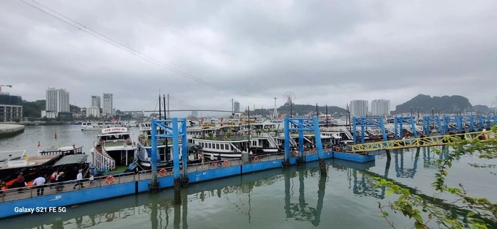 Sau sự cố cháy tàu, Quảng Ninh yêu cầu rà soát toàn bộ điều kiện an toàn tàu du lịch Sau sự cố cháy tàu, Quảng Ninh yêu cầu rà soát toàn bộ điều kiện an toàn tàu du lịch