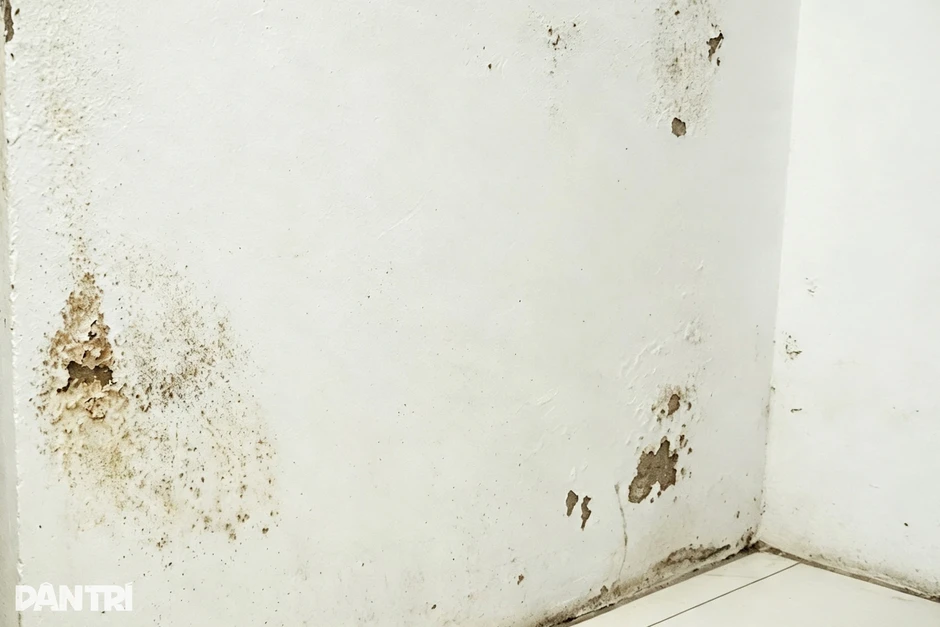 Sẽ xử lý hàng loạt điểm thấm, dột ở bệnh viện hơn 1.700 tỷ đồng Sẽ xử lý hàng loạt điểm thấm, dột ở bệnh viện hơn 1.700 tỷ đồng