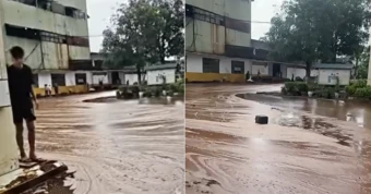 Sét đánh trúng nhà máy đường, hàng ngàn tấn mật tràn ra ngoài