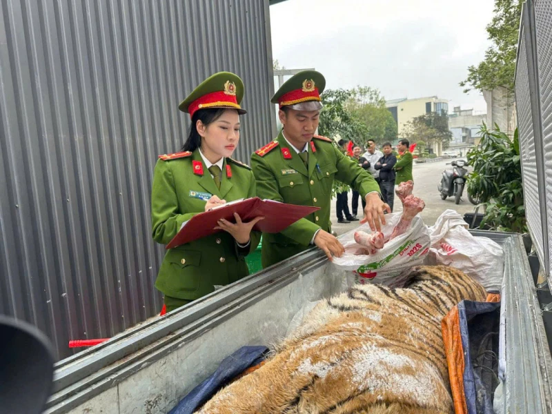 Siết chặt “vòi bạch tuộc” của tội phạm buôn bán động vật hoang dã Siết chặt “vòi bạch tuộc” của tội phạm buôn bán động vật hoang dã