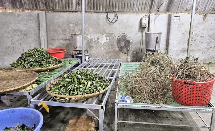 Sở Y tế Thanh Hóa báo cáo vụ “lang băm” Hoàng Minh Đường chiếm đoạt 227 tỉ đồng Sở Y tế Thanh Hóa báo cáo vụ “lang băm” Hoàng Minh Đường chiếm đoạt 227 tỉ đồng