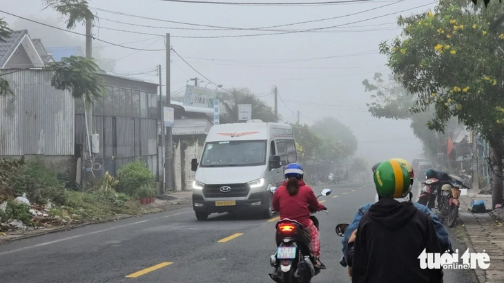 Sương mù dày đặc ở An Giang, cảnh báo dịch bệnh trên lúa Sương mù dày đặc ở An Giang, cảnh báo dịch bệnh trên lúa