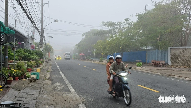 Sương mù dày đặc ở An Giang, cảnh báo dịch bệnh trên lúa Sương mù dày đặc ở An Giang, cảnh báo dịch bệnh trên lúa
