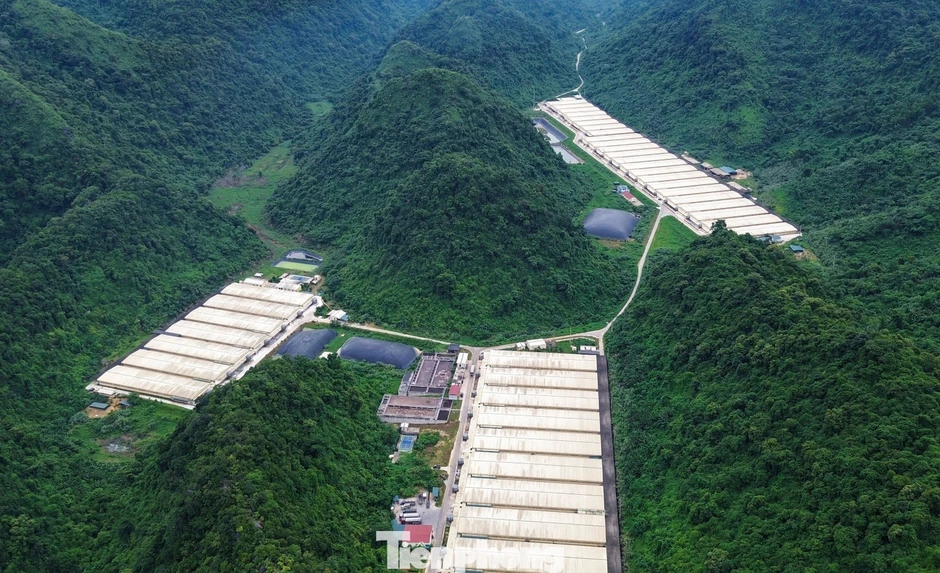 Tai nạn lao động thanh hóa: Buổi chiều định mệnh cướp đi 5 sinh mạng công nhân Tai nạn lao động thanh hóa: Buổi chiều định mệnh cướp đi 5 sinh mạng công nhân