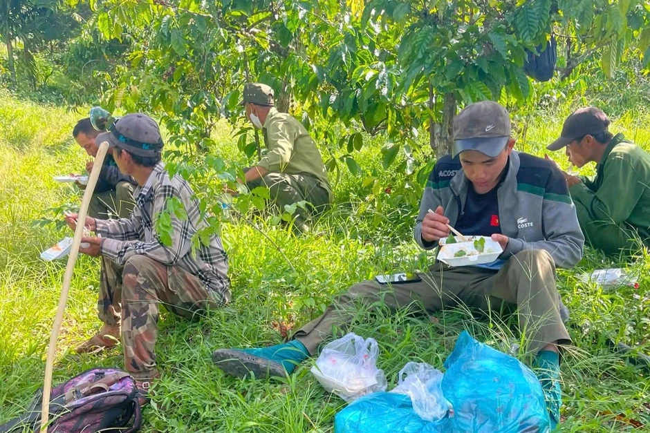 Tạm dừng tập luyện bắn đạn thật để tìm kiếm cháu trai lạc trong rừng Tạm dừng tập luyện bắn đạn thật để tìm kiếm cháu trai lạc trong rừng