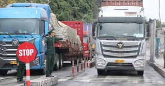 Tạm ngưng Nghị định 46: Phó Thủ tướng Lê Thành Long ký Nghị quyết 15 / 2026 / NQ - CP
