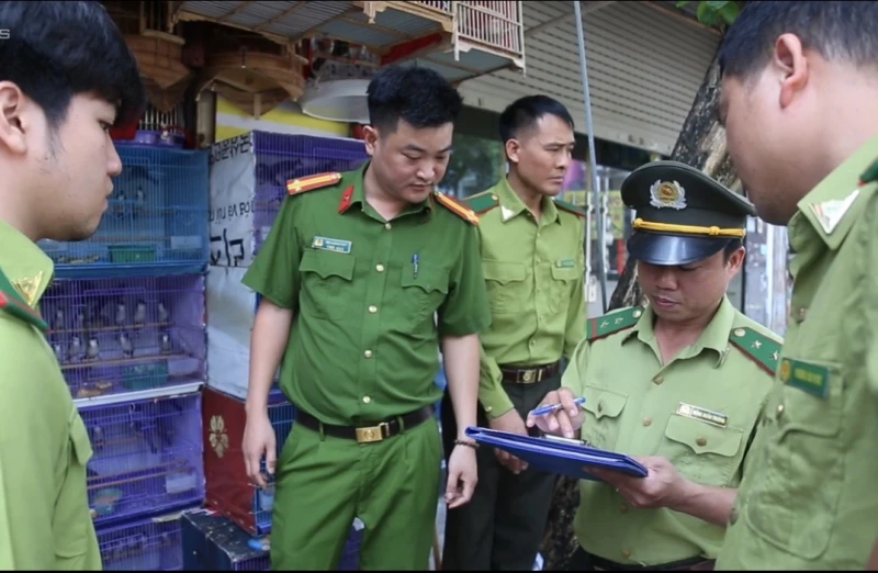 Tăng cường kiểm tra liên ngành trong xử lý vi phạm về bảo vệ động vật hoang dã, chim di cư Tăng cường kiểm tra liên ngành trong xử lý vi phạm về bảo vệ động vật hoang dã, chim di cư