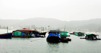 Tàu cá lật úp tại Đặc khu Cô Tô , 2 mẹ con tử vong thương tâm