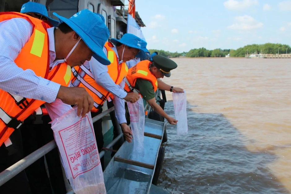 Thả hàng triệu con tôm giống về tự nhiên Thả hàng triệu con tôm giống về tự nhiên