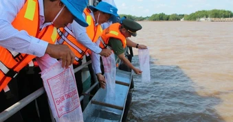 Thả hàng triệu con tôm giống về tự nhiên