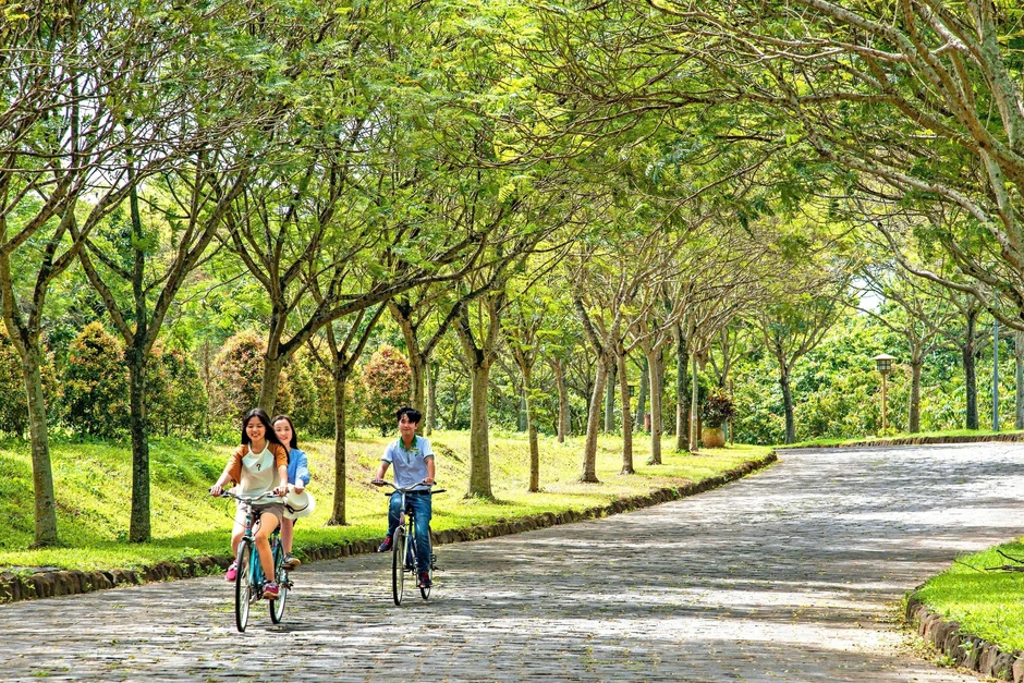 Thành lập 10 phường mới ở Đồng Nai: Xây dựng Trảng Bom thành đô thị đáng sống Thành lập 10 phường mới ở Đồng Nai: Xây dựng Trảng Bom thành đô thị đáng sống