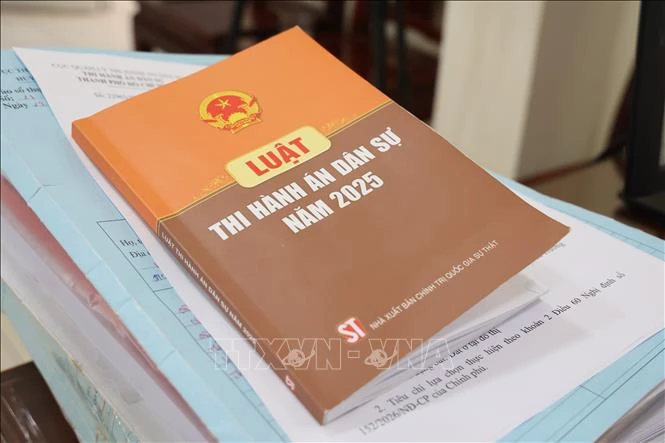 Thành phố Hồ Chí Minh nâng cao hiệu quả thi hành án dân sự theo luật mới Thành phố Hồ Chí Minh nâng cao hiệu quả thi hành án dân sự theo luật mới