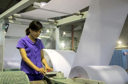 Thanh tra Chính phủ làm rõ vi phạm tại Tổng công ty Giấy Việt Nam