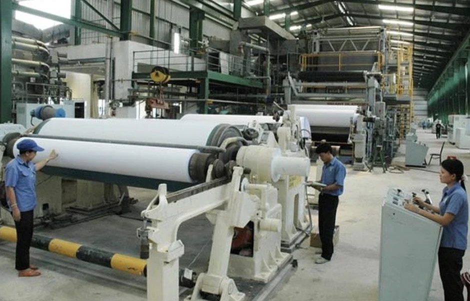 Thanh tra Chính phủ yêu cầu xử lý vi phạm liên quan Tập đoàn Tân Mai
