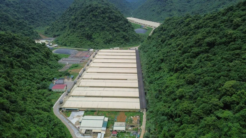 Thêm nạn nhân tử vong trong vụ tai nạn tại trại nuôi lợn ở Thanh Hóa Thêm nạn nhân tử vong trong vụ tai nạn tại trại nuôi lợn ở Thanh Hóa