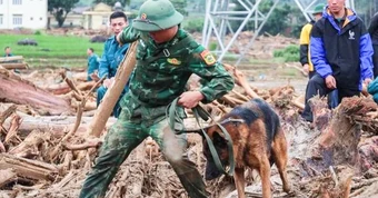Thi thể nạn nhân lũ quét Lai Châu được tìm thấy cách hiện trường gần 20 km