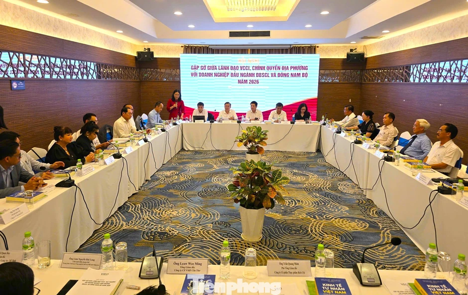 Thiếu trầm trọng doanh nghiệp 'đầu tàu' ở Đồng bằng sông Cửu Long Thiếu trầm trọng doanh nghiệp 'đầu tàu' ở Đồng bằng sông Cửu Long