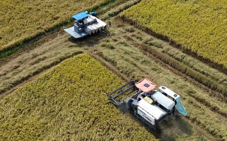 Thời tiết hôm nay 21-3: Nam Bộ nắng nóng, xâm nhập mặn vào sâu các sông