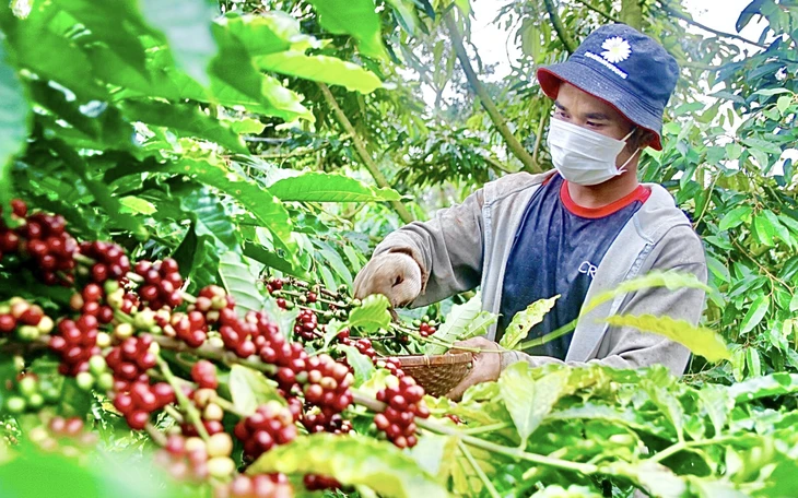 Thời tiết hôm nay 26-5: Bắc Bộ đến Huế nóng như rang, vượt 40 độ C Thời tiết hôm nay 26-5: Bắc Bộ đến Huế nóng như rang, vượt 40 độ C